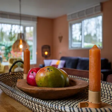 Dağ evi Louis Met Riante Tuin En 3 Slaapkamer 6p Putten