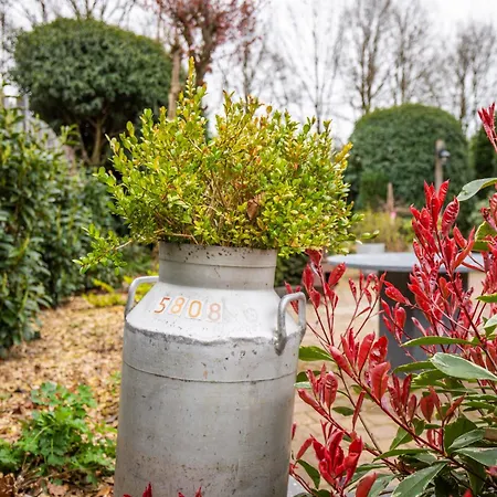 Alpesi faház Louis Met Riante Tuin En 3 Slaapkamer 6p Putten