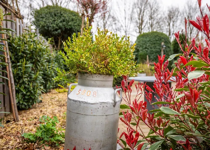 Alpstuga Louis Met Riante Tuin En 3 Slaapkamer 6p Putten