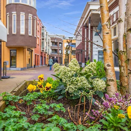 Louis Met Riante Tuin En 3 Slaapkamer 6p Chalet *